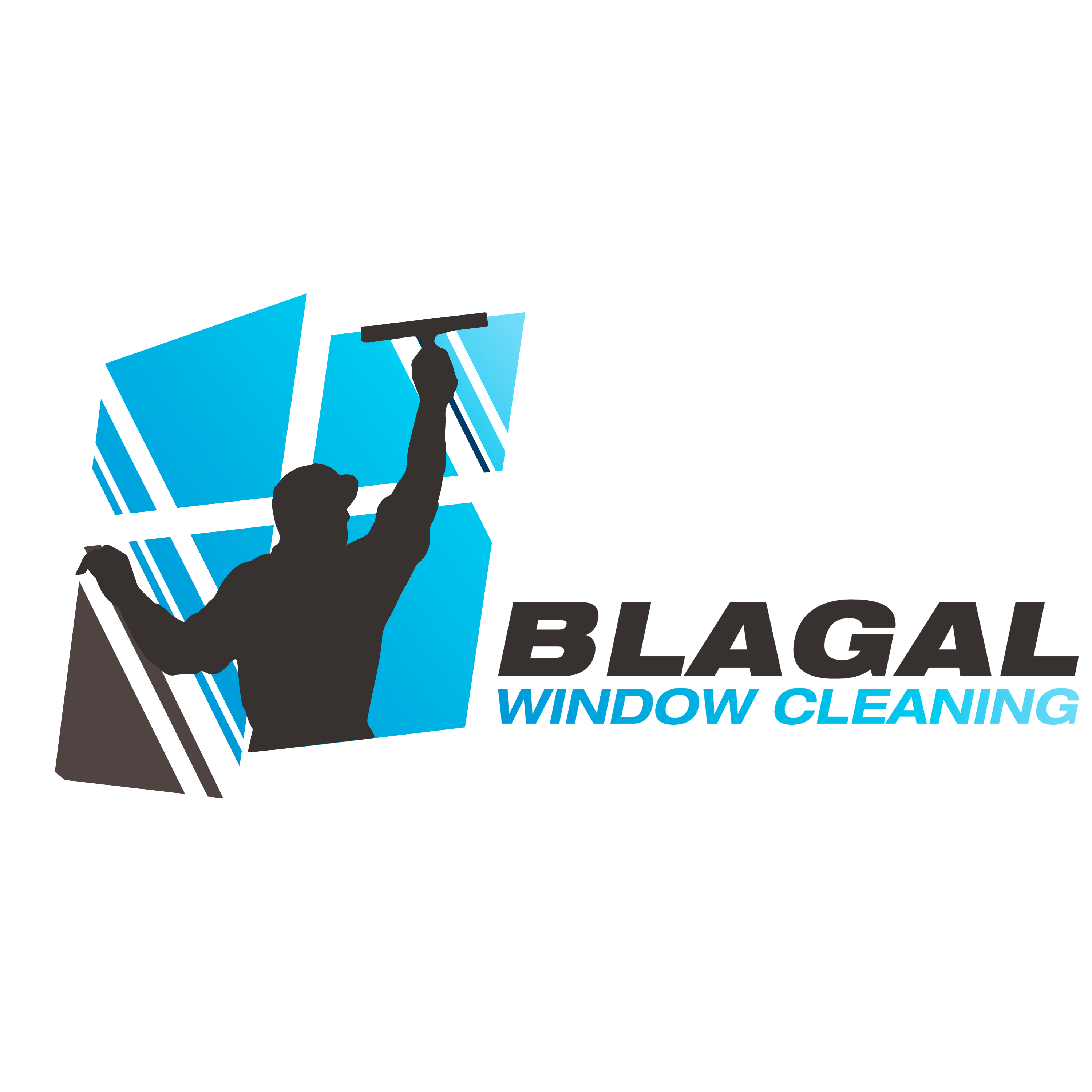 Blagal Window Cleaning Salt Lake City